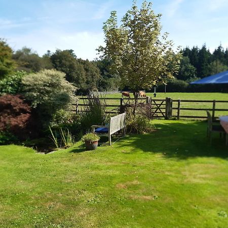 Woodlands Cottage Farm Wickham Exterior foto